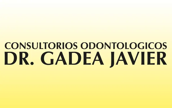 Dr. Javier Gadea