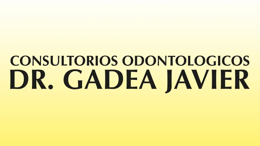 Dr. Javier Gadea